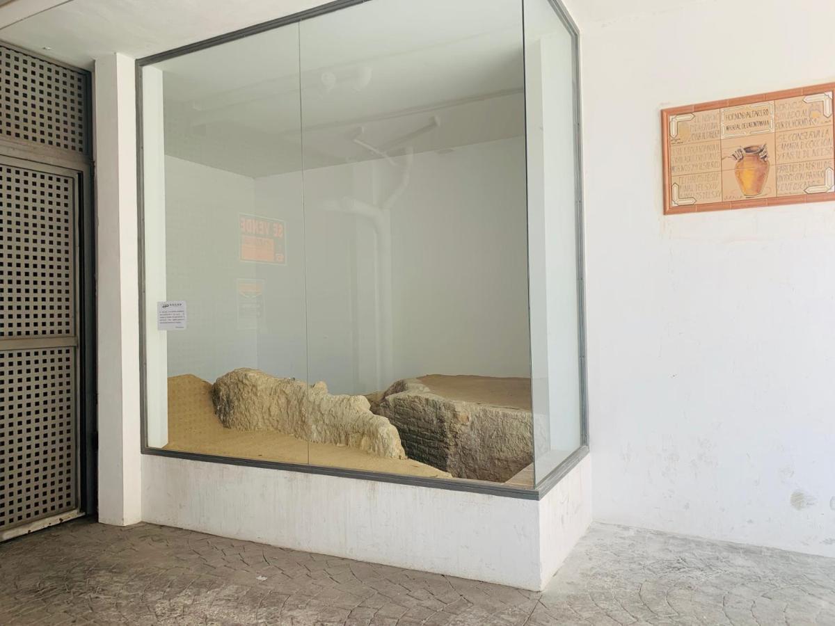 Apartamento Homely Parras Con Terraza